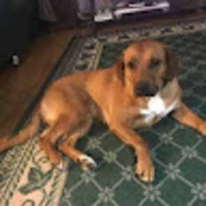 Meet your Posher, Wendy